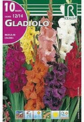 ROCALBA BULOS DE GLADIOLO MEZCLA DE COLORES