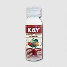 MASSO JED KAY 24 DE 8 CC