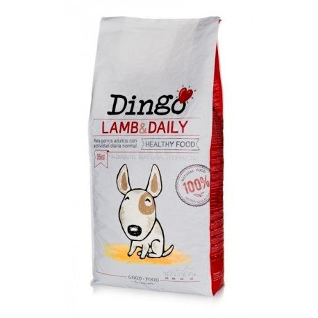 DINGO LAMB & DAILY