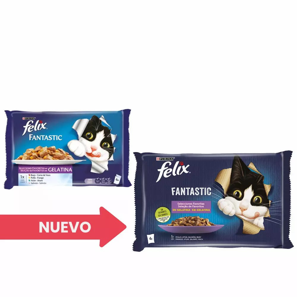 FELIX FANTASTIC SELECCIONES FAVORITAS EN GELATINA SOBRE