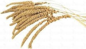 PLACIAS PANICET ESPIGA 300GR