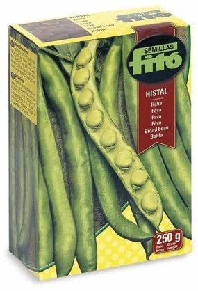 FITO FAVA FABIOLA