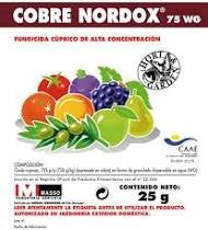 MASSO JED COBRE NORDOX 75WG DE 25GR