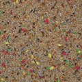 PLACIAS TROPICALES