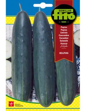 FITO PEPINO BELLPUIG
