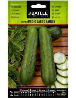 BATLLE PEPINO ASHLEY MEDIO LARGO