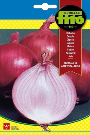 FITO CEBOLLA MORADA AMPOS.ARBO