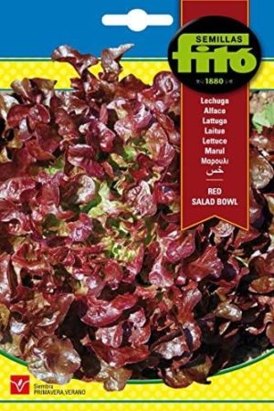 FITO LECHUGA RED SALAD BOWL