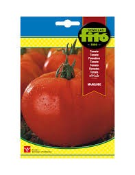 FITO TOMATE MARGLOBE SUPERBOL