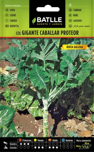 BATLLE COL GIGANTE CABALLAR PROTEOR
