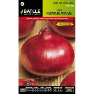 BATLLE CEBOLLA MORADA AMPOSTA