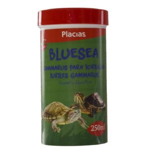PLACIAS GAMMARUS TORTUGAS