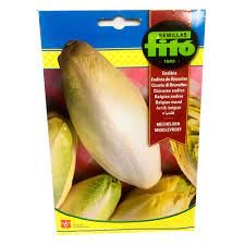 FITO ENDIBIA MECHELSEN MIDDLE