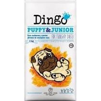 DINGO PUPPY & JUNIOR