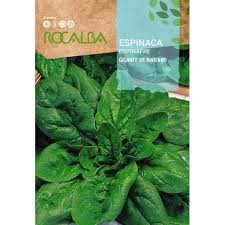 ROCALBA ESPINACA GIGANTE DE INVIERNO