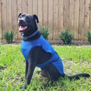COOLING PET JACKET (BLUE)