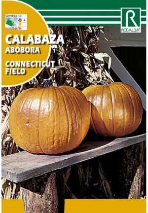 ROCALBA CALABAZA ABÓBORA CONNECTICUT FIELD