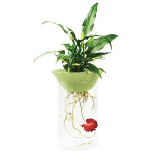 PECERA-BETERA NATURE VERDE 1,2L