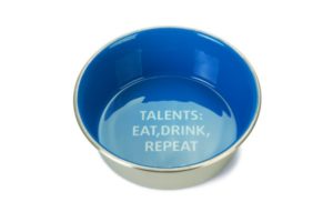 PLATO DE ACERO PERRO TALENTS AZUL