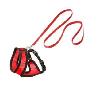 SET ARNÉS GATO ROJO/NEGRO 10MM x