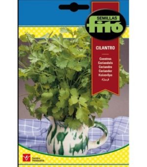 FITO CILANTRO