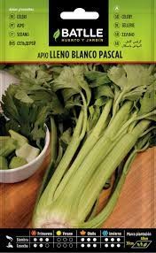 BATLLE APIO LLENO BLANCO PASCAL