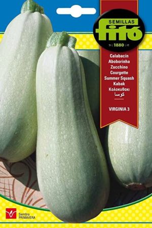 FITO CALABACIN VIRGINA 3
