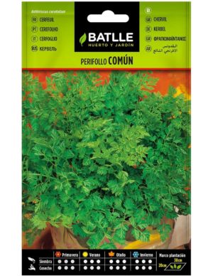 BATLLE PERIFOLLO COMÚN