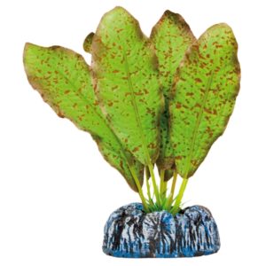 ICA PL.SEDA ECHINODORUS MOTEADO