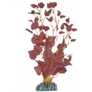 HIGRÓFILA ROJA 30CM