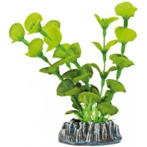 ICA PL.SEDA NINFA LOTUS