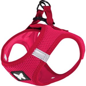 ARNES MESH
