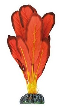 ICA PL.SEDA ECHINODORUS ROJO
