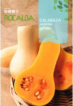 ROCALBA CALABAZA ABOBORA BUTTERNUT