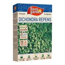 EUROGARDEN DICHONDRA REPENS 250GR