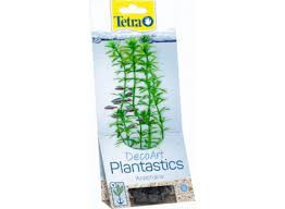 TETRA DECOART PLANT ANACHARIS