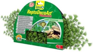 REPTODECOART PLANTA GIANT