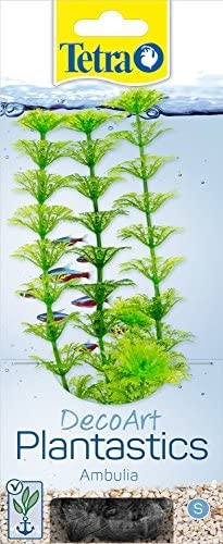TETRA DECOART PLANT AMBULIA