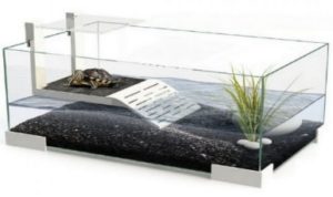 TETRA TORTUGUERA PLUS BLANCO