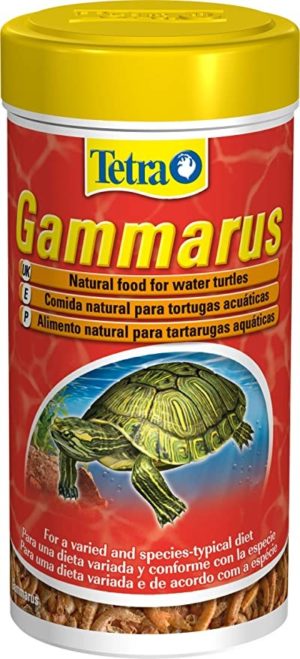 TETRA GAMMARUS